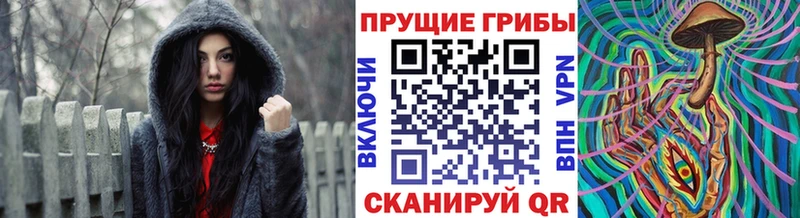 Купить закладки Биробиджан Псилоцибиновые грибы Cubensis